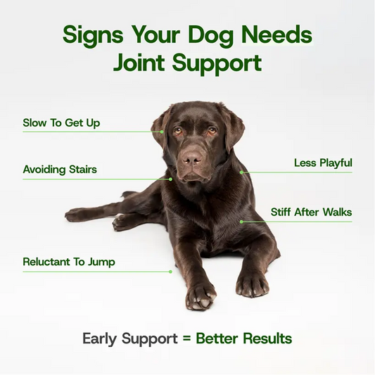 Hip & Joint Bites